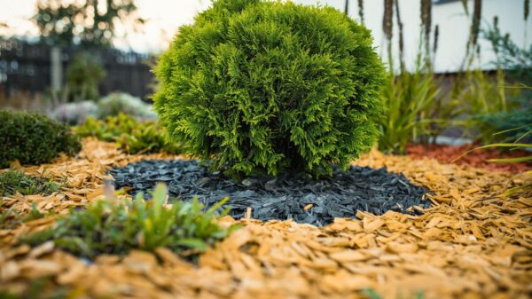 Wood Chips Mulch (20-40mm) – (Natural)