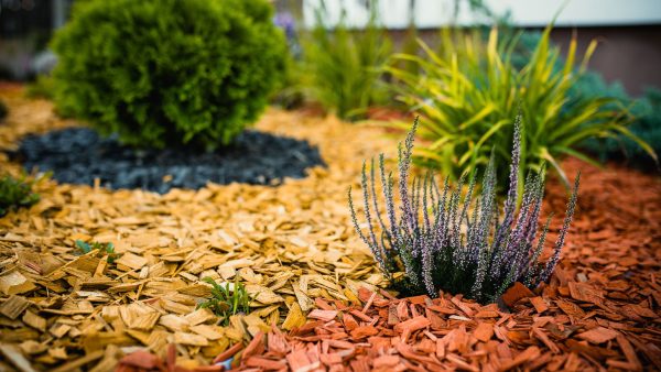 Colored wood chip mulch (20-40mm) – Orange